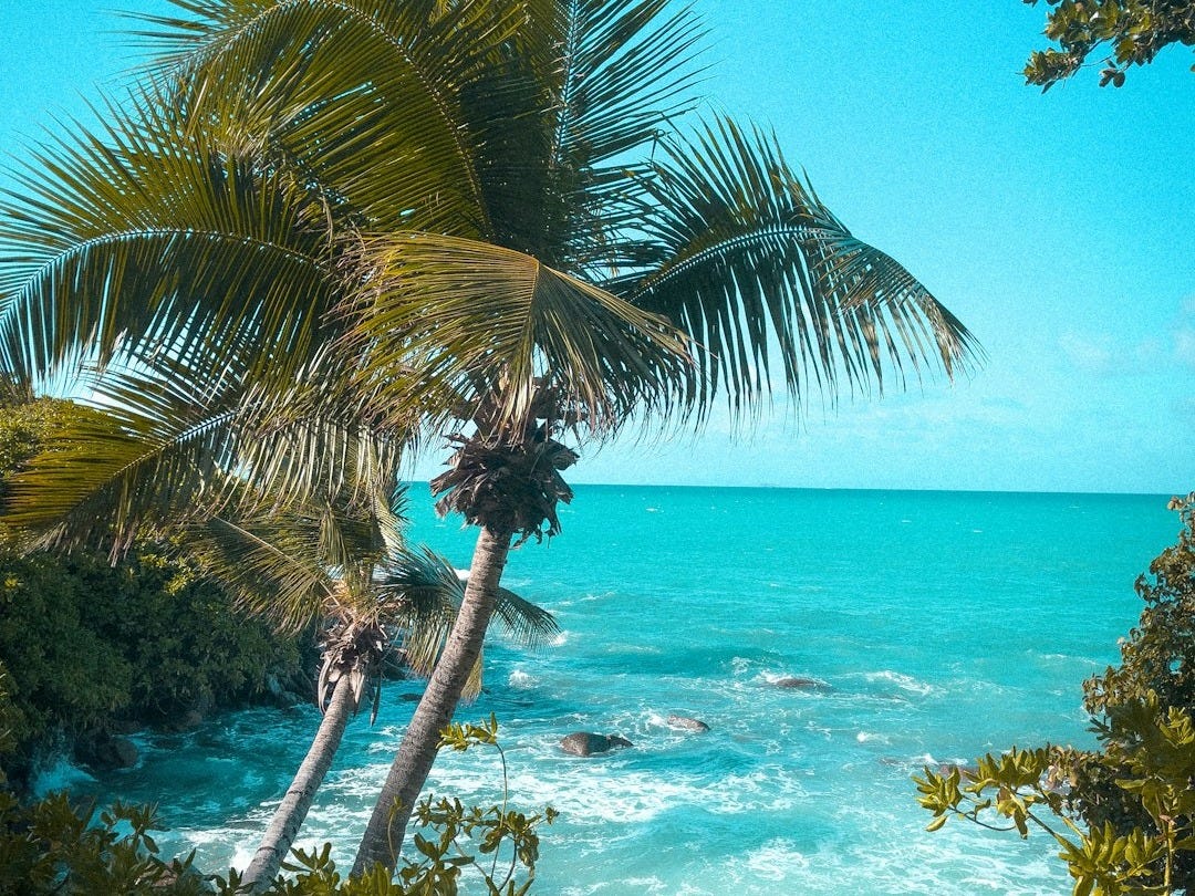 Seychelles : un président élu face au défi écologique et économique