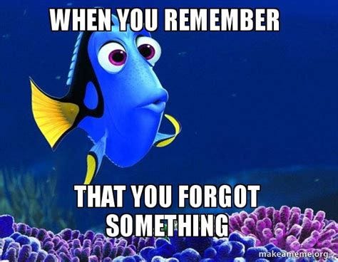 You Remembered Meme - Captions Beautiful You Remembered Meme - Captions Beautiful