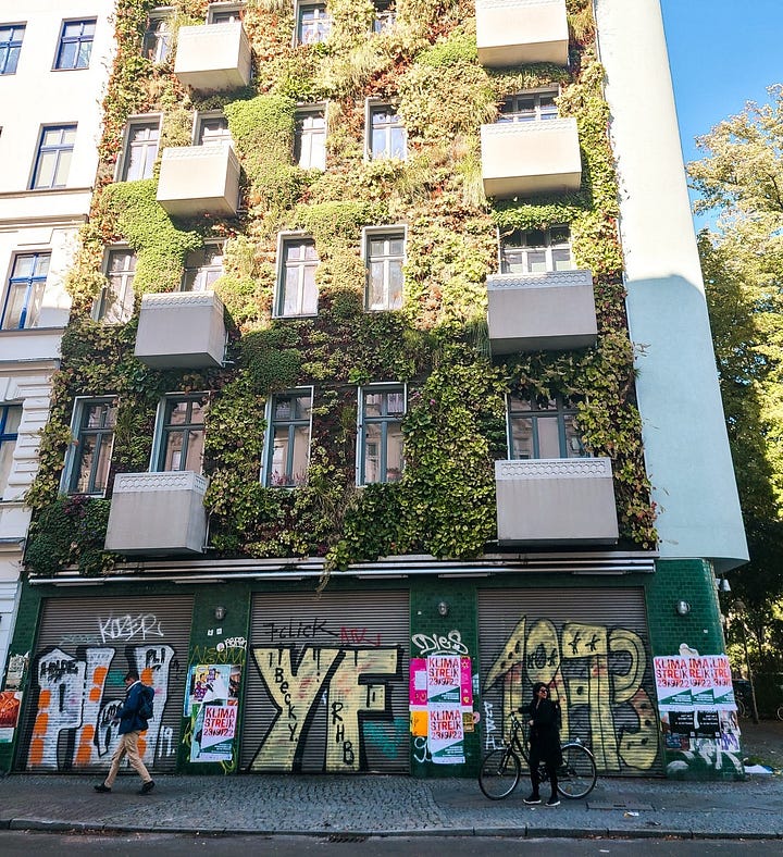fresh strawberries from a corner produce market & pretty building covered in greenery & graffiti