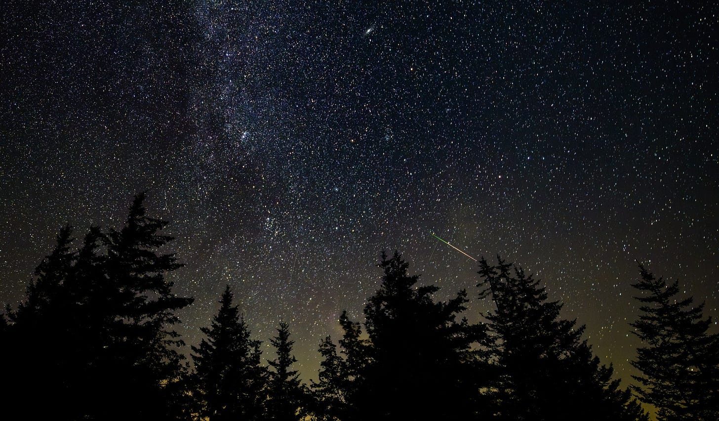 The night sky is covered in small white points of light - these are stars. Slightly right of middle, a green and yellow streak goes across the sky. The bottom of the picture is lined with the shadow of treetops. The night sky is covered in small white points of light - these are stars. Slightly right of middle, a green and yellow streak goes across the sky. The bottom of the picture is lined with the shadow of treetops.