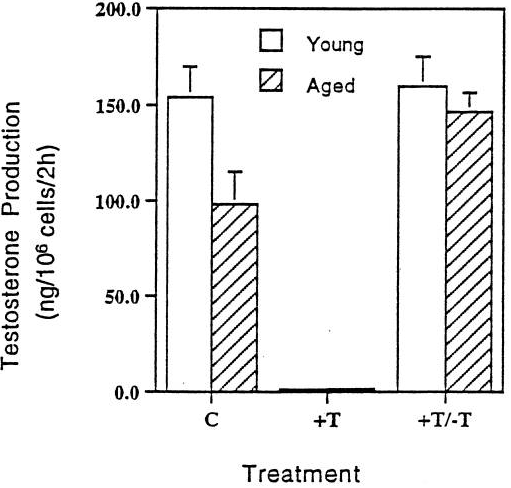 Will my natural testosterone come back after TRT? testosterone on leydig cell health