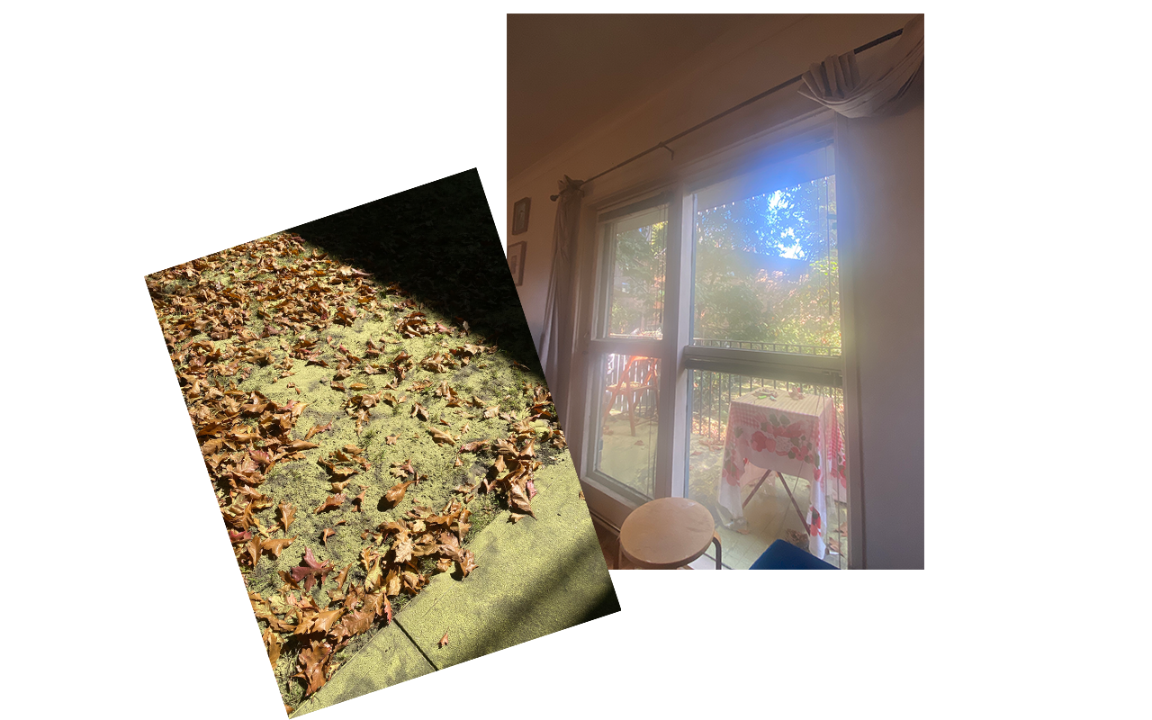 pollen everywhere on my balcony and outside