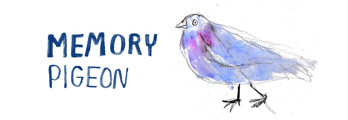 a badly-drawn pigeon from memory
