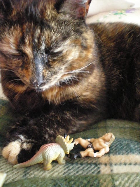 Cat, Dinosaur and Triple H Cat, Dinosaur and Triple H