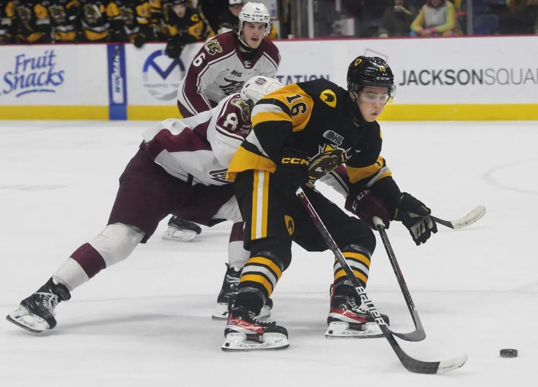 Hamilton Bulldogs' red-hot winger Nick Lardis is making his point(s) |  TheSpec.com