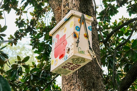 Fuji photographs of life by Tyler Knott Gregson