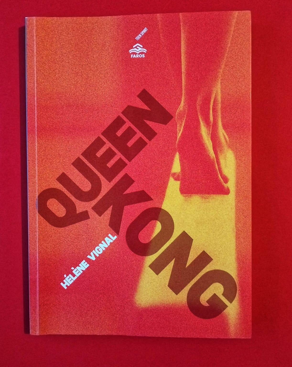 “Quuen Kong” di Hélèn Vignal, Faros Edizioni