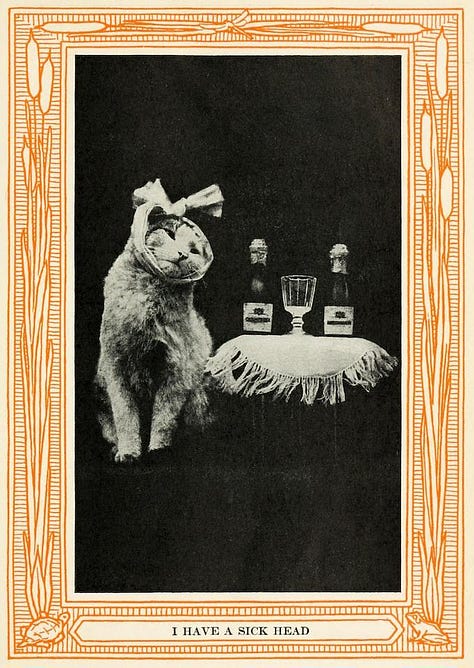 Nine old timey photos of everything from people exercising to cells to cats pretending to drink wine.