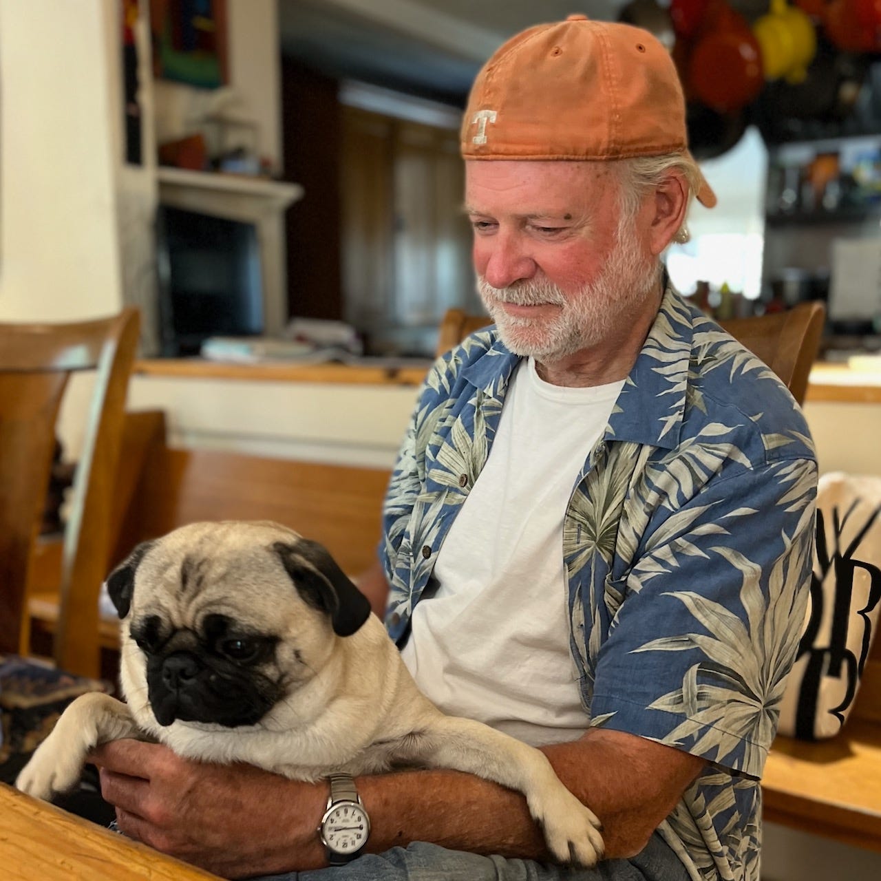 A person holding a dog

Description automatically generated with medium confidence