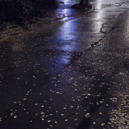 Rainbow Squared Year 5, Piece Forty-Two: 35. Blue Black White. An animated loop cropped from a video taken by Kendrick Wanamaker of a rainy Seattle street at night, with little streams of water flowing in the asphalt and leaves scattered. A stripe of white light surrounded by blue comes down from the middle top into the center