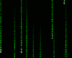 Green characters raining down the screen in typical Matrix fashion