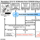 The Woman, Dragon, and Beast of the Sea Timeline Analysis against WHO Events