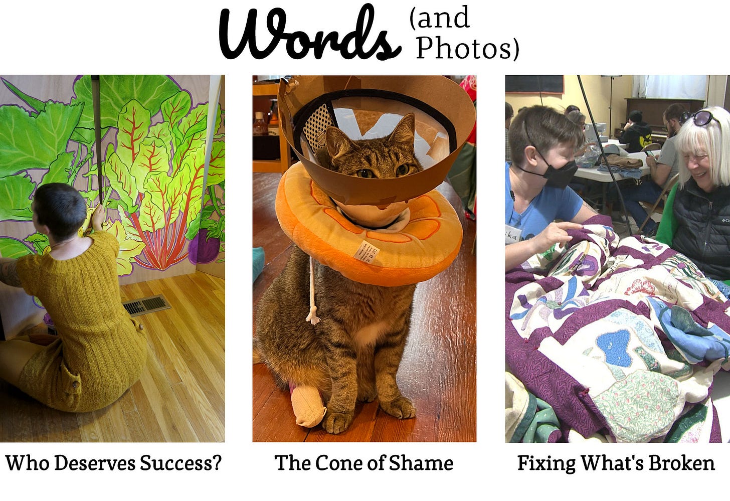 Title: Words (and Photos) Three panels. Panel 1: Photograph of a white woman with a buzzed head sitting on the floor, painting on giant wooden panels that tower over her. They are covered in paintings of vegetable leaves. Panel 2: Photograph of a brown tabby cat in an animal medical cone with an extra rim added with taped-on cardboard. She also wears a round pillow around her neck. Her foot is in a giant bandage. Panel 3: Two white women sit on either side of a quilt. The middle-age left one is hand-sewing on the quilt while the elder right one laughs happily. The two are partially leaning towards each other, sharing a joke. Title: Fixing What's Broken Title: Words (and Photos) Three panels. Panel 1: Photograph of a white woman with a buzzed head sitting on the floor, painting on giant wooden panels that tower over her. They are covered in paintings of vegetable leaves. Panel 2: Photograph of a brown tabby cat in an animal medical cone with an extra rim added with taped-on cardboard. She also wears a round pillow around her neck. Her foot is in a giant bandage. Panel 3: Two white women sit on either side of a quilt. The middle-age left one is hand-sewing on the quilt while the elder right one laughs happily. The two are partially leaning towards each other, sharing a joke. Title: Fixing What's Broken