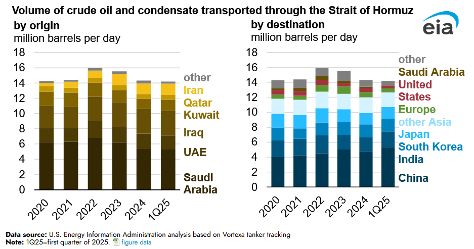 strait of hormuz shipping