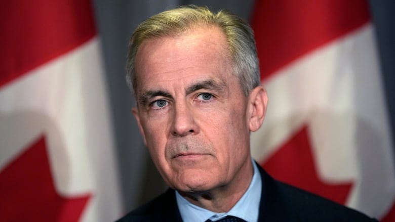 Carney set up a blind trust, screens to avoid conflicts of interest. Is that enough? | CBC News Carney set up a blind trust, screens to avoid conflicts of interest. Is that enough? | CBC News