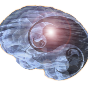 The Way of the Brain