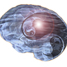 The Way of the Brain
