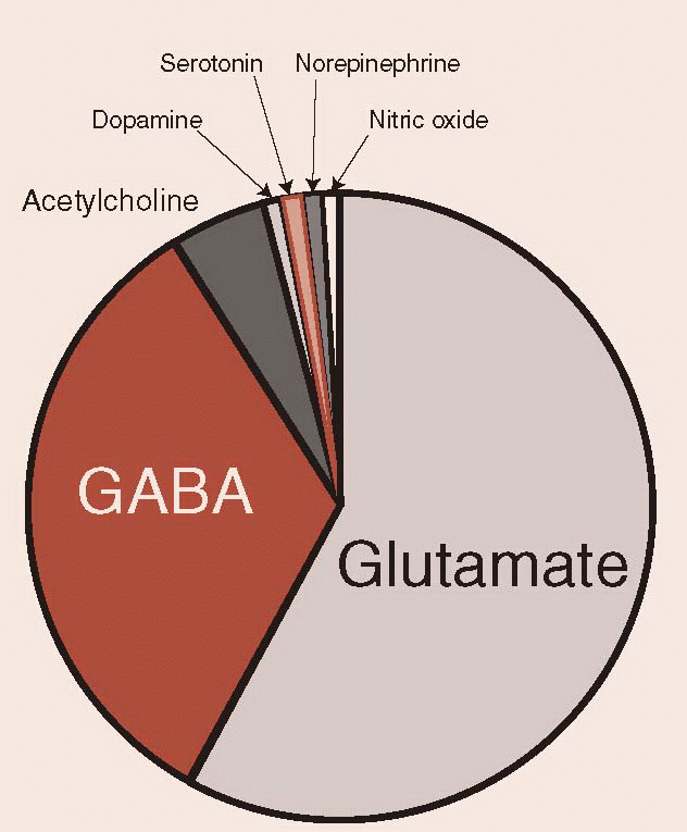 Neurotransmitters | Neupsy Key