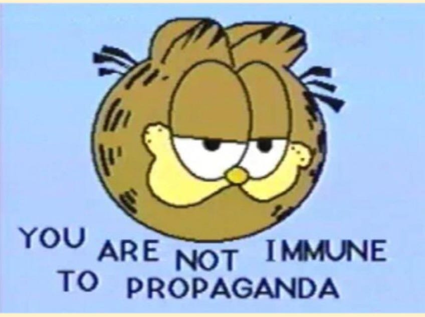 Garfield you are not immune to propaganda meme