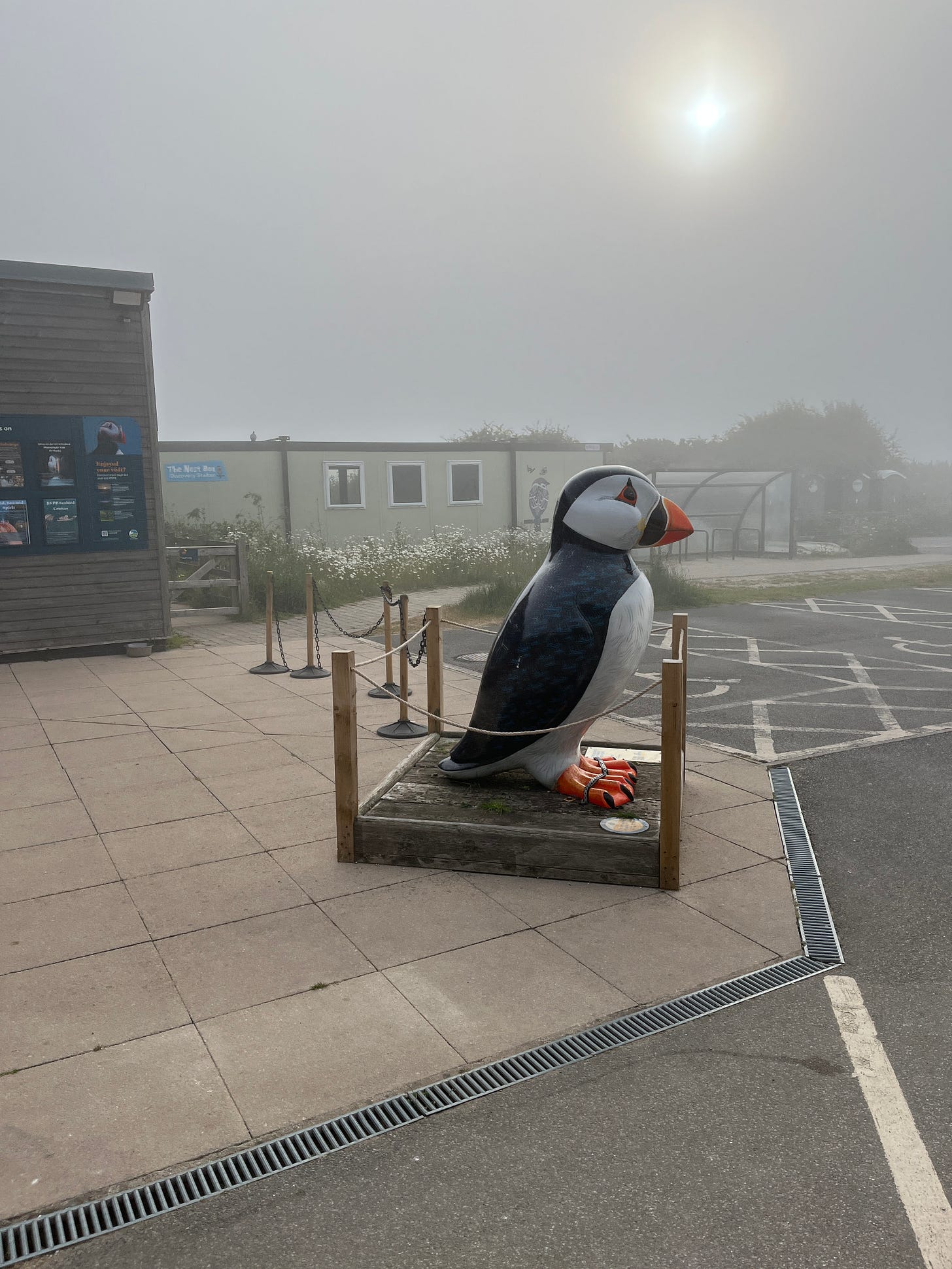 An enormous fibreglass sculpture of a puffin outside the wooden visitor centre, all shrouded in mist