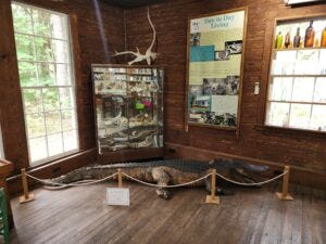 Escape from New York Socialism: Fed up with NYC? Discover Daufuskie Island, a Carolina refuge of freedom, faith, and fried flounder.