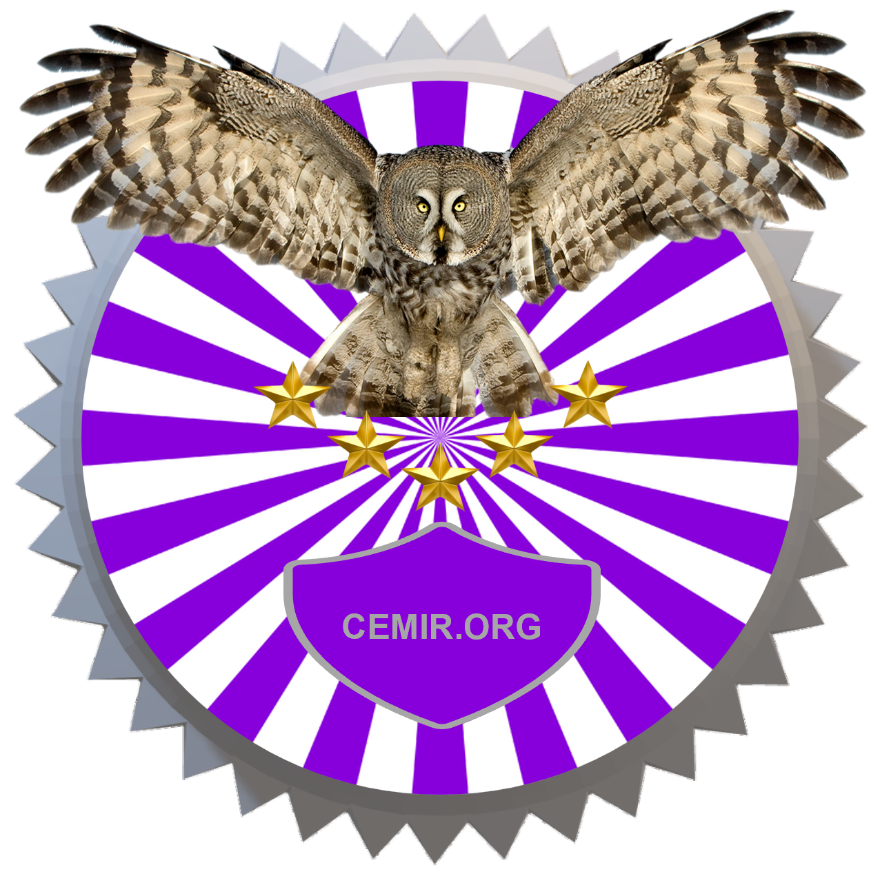 CEMIR logo with owl, stars, and the phase cemir.org on it.