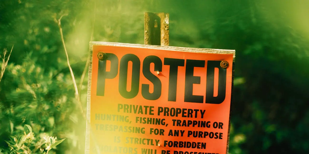 Scapegoat Healing Journey - Part V