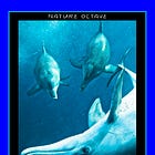 Seven Archetype: Nature Octave