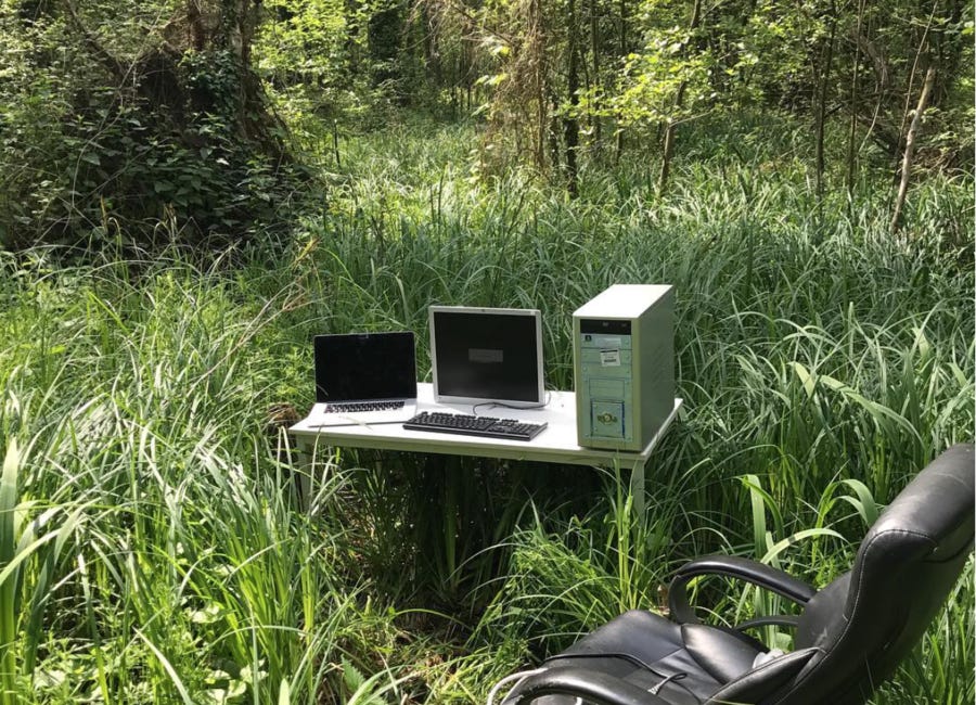 L'Internet est mort, vive l'Internet sauvage