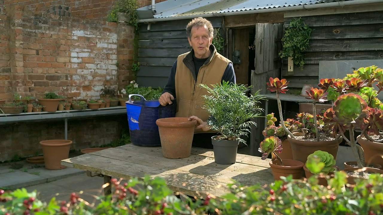 Gardeners' World 2022/23 Winter Specials episode 4 - HDclump