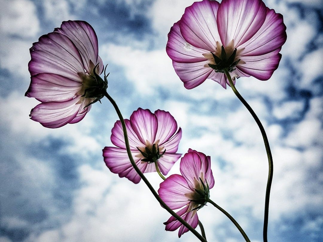 Les 7 Bonnes Nouvelles du Dimanche 16 Novembre 2025 Les 7 Bonnes Nouvelles du Dimanche 16 Novembre 2025