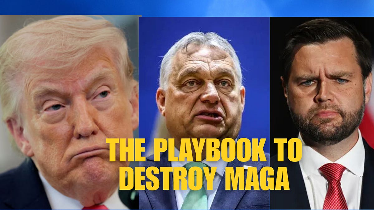 Orban's loss in Hungary gives us a Playbook to Crush MAGA!!
