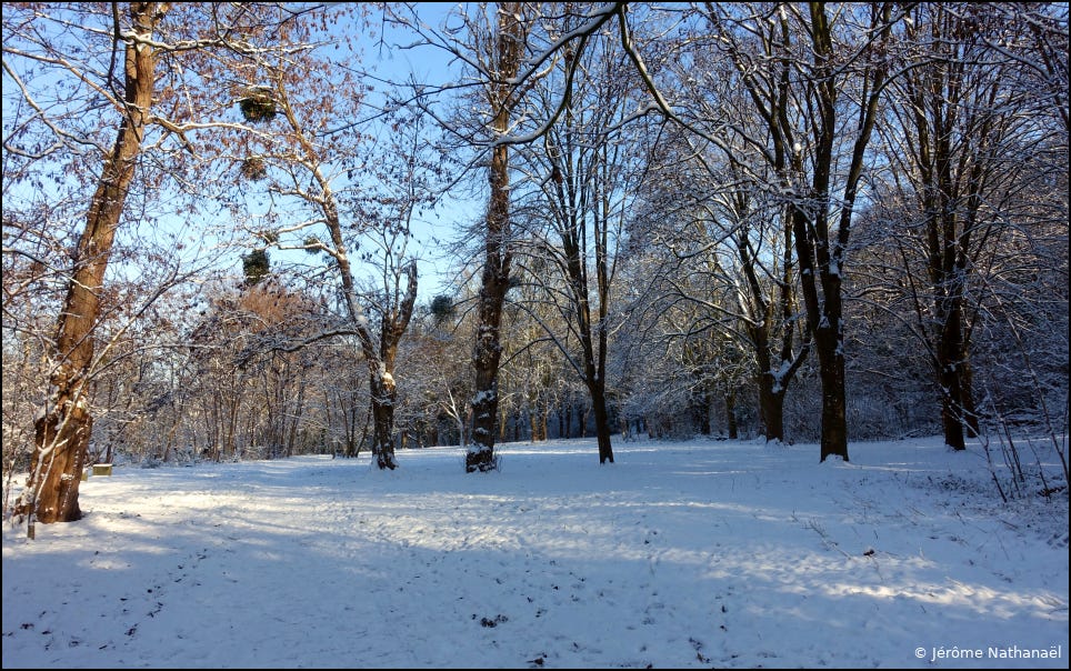 Parc sous la neige en Île-de-France janvier 2026