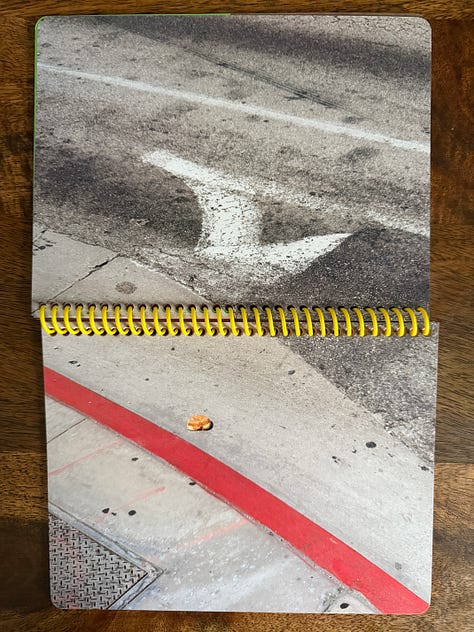 Images from Theo Stroomer's Beloved Donuts photo book, which is sweet.