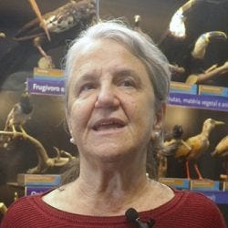 Vera Bohomoletz Henriques criou o Programa USP Escola - Fotoframe: Denner Costa
