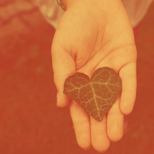 Vita, viaggi e miracoli