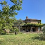 Schönes altes Steinhaus mit weinüberrankter Veranda