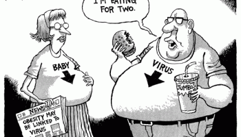 obesity-virus1 obesity-virus1