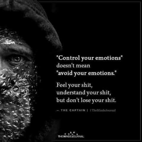 May be an image of 1 person and text that says '"Control your emotions" doesn't mean "avoid your emotions." Feelyourshit, Feel your shit, understand your shit, but don't lose your butdon'tloseyourshit shit. THECAPTAIN CAPTAIN| THEMINDSJOLIRNAL M'