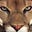 AcuteGravitas's avatar