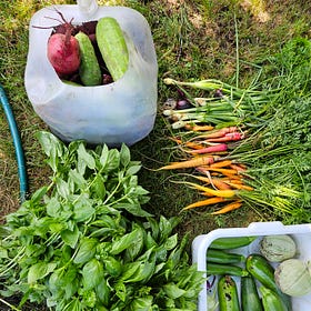 Atypical Harvest