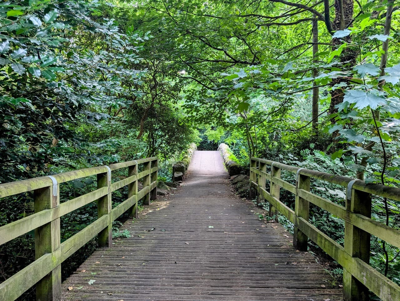 Path and bridge in Jesmond Dene