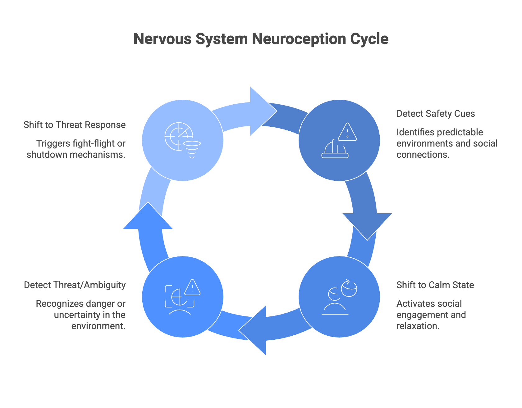 Neurotic Loop Your nervous system has one request - by Jim Kwik