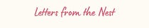 Letters from the Nest