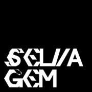 Artwork for Selvagem