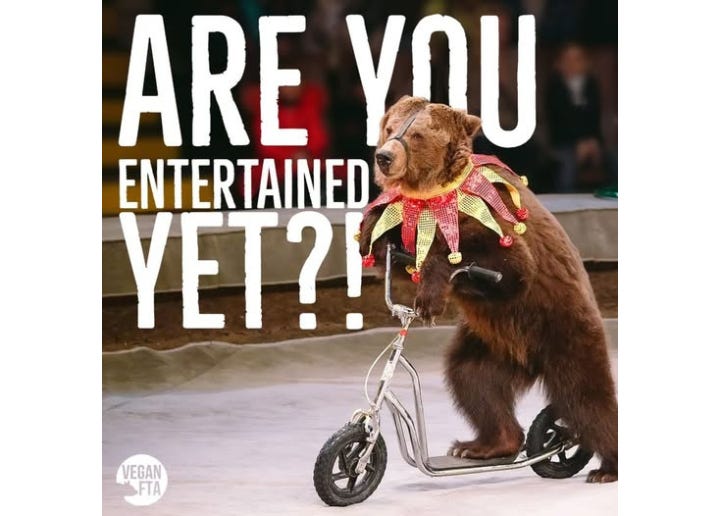 Animals are sentient beings, not objects for human amusement. Exploiting them for zoos, circuses, racing, or marine parks causes stress, suffering, and captivity for profit. True respect means letting them live freely, not using them for entertainment. 🌱 Animals are sentient beings, not objects for human amusement. Exploiting them for zoos, circuses, racing, or marine parks causes stress, suffering, and captivity for profit. True respect means letting them live freely, not using them for entertainment. 🌱