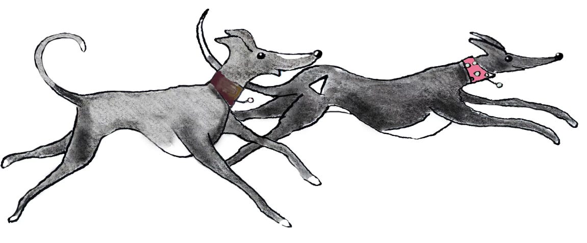 illustration of 2 whippets running
