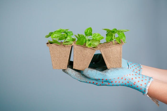 Personalisation and empathy are essential for growth