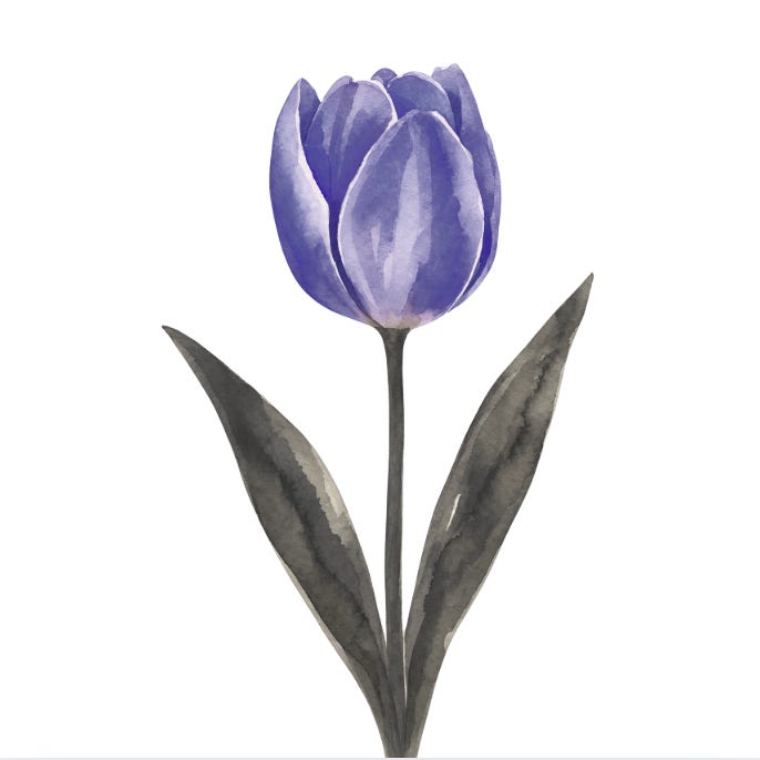 The Blue Tulip 