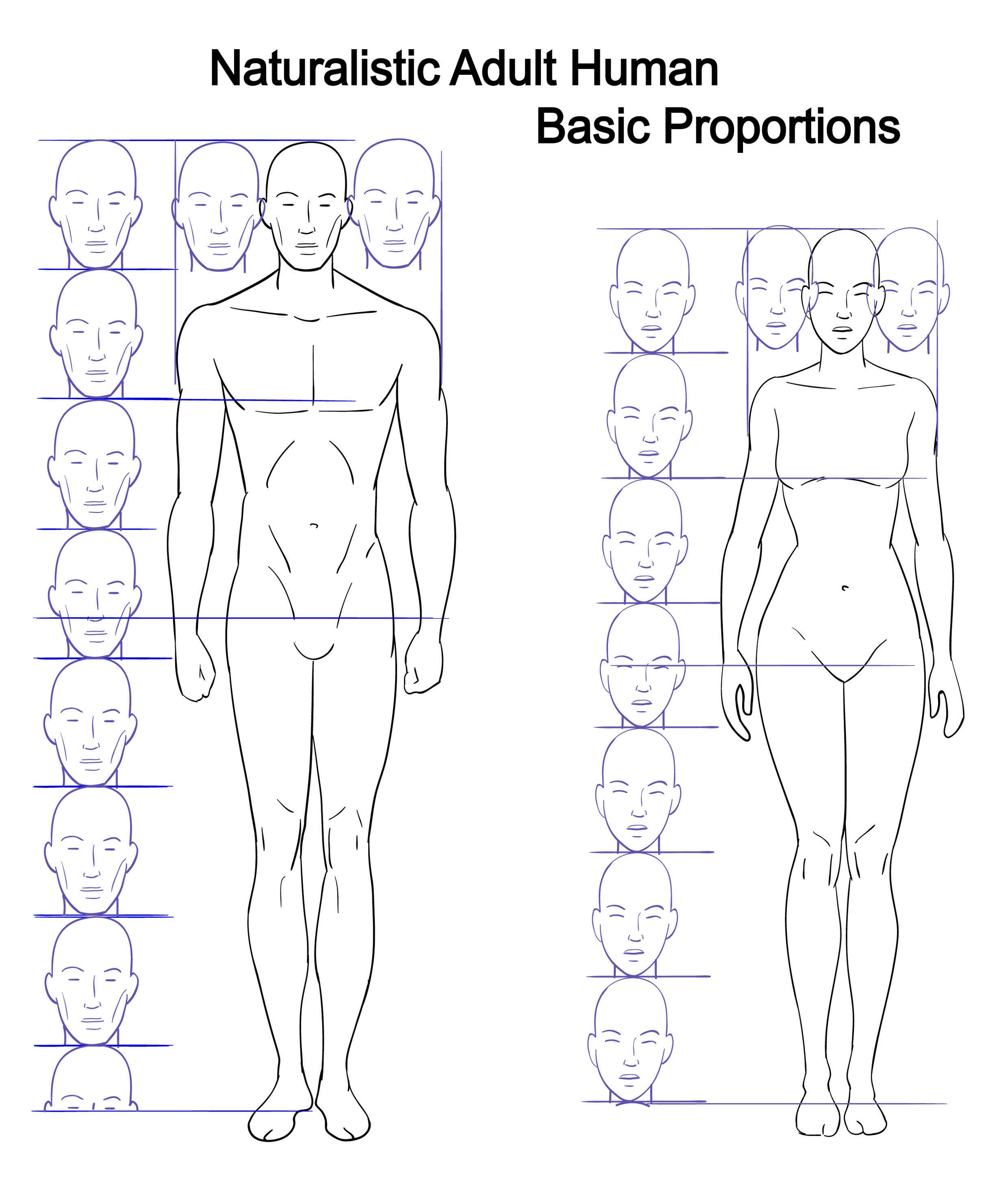 Drawing Humans in Proportion - by Archie Birch